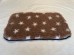 PnH Veterinary Bedding ® - BINDED - NON SLIP - Brown with White Stars