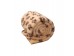  a PnH Veterinary Bedding ® NON SLIP - Cream with Brown Paws